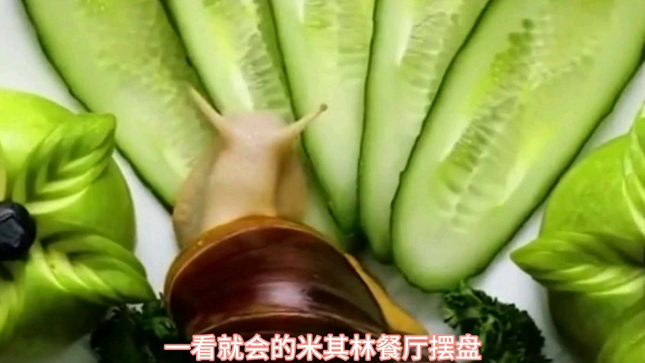 一看就会的,米其林餐厅摆盘