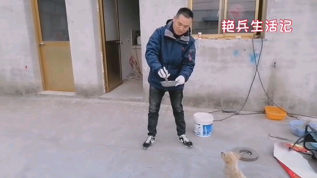 小狗开开今天咋不想吃肉了
