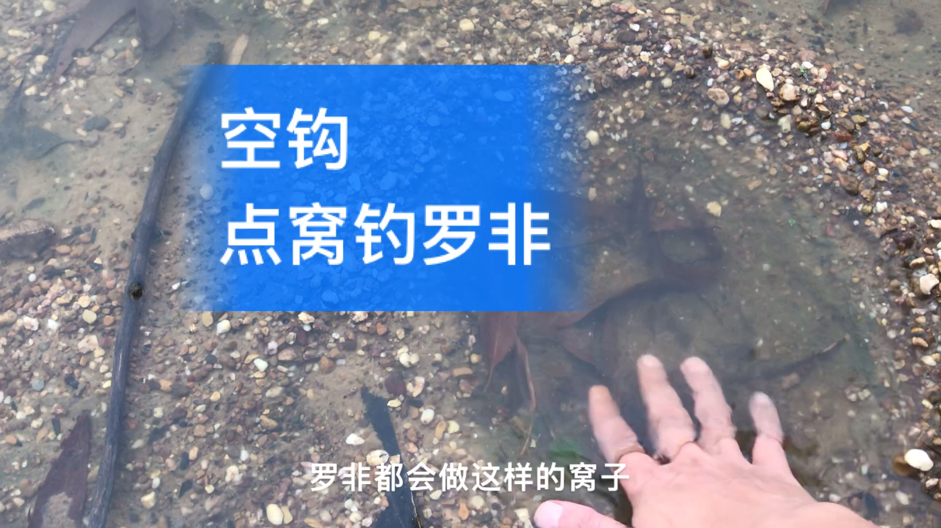 点窝钓罗非,大毛老师都搞不定的钓法,他输在了这一点