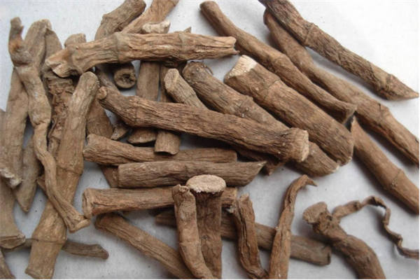 俗语:五毒不毒,齐聚才毒!说的很有深意