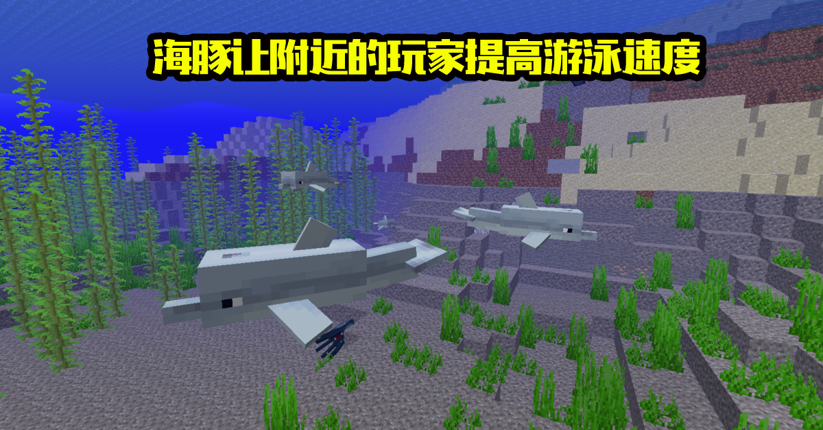 《我的世界》海洋版本"海豚"的九大特性,除了寻宝,也会淹死?