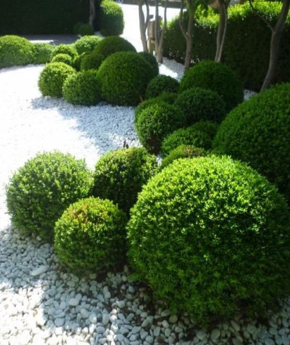 树球- 热门商品专区