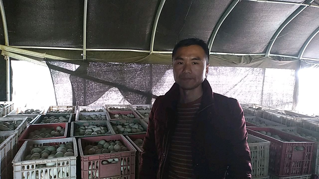 养鸭厂鸭蛋赚大了