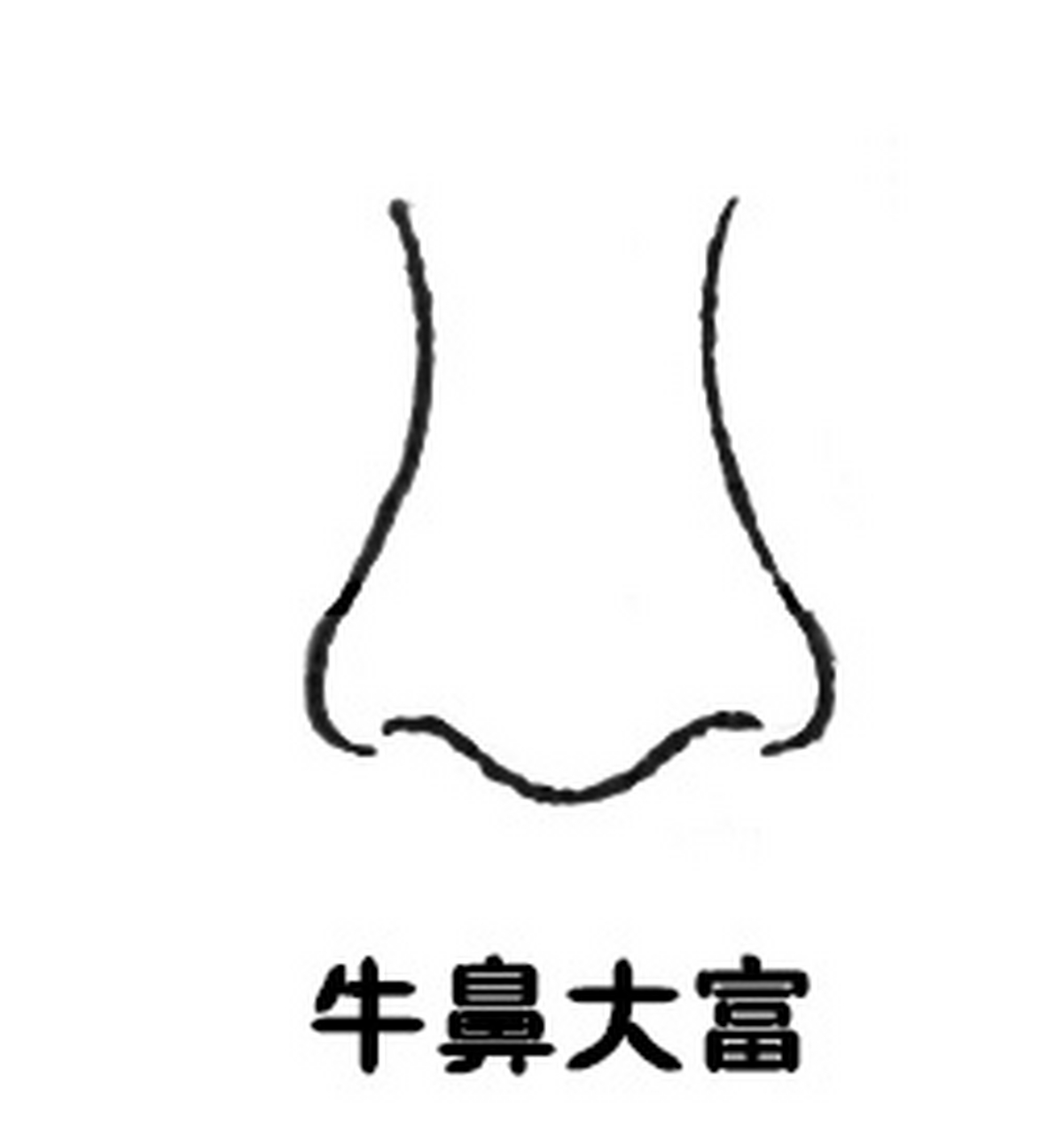 大叔面相教学——84牛鼻 1.