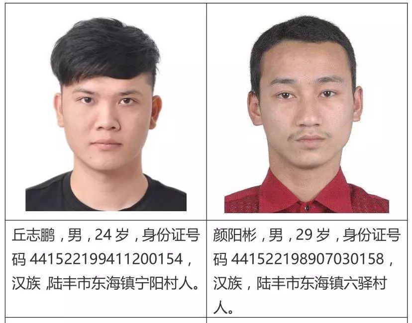 关于检举揭发杨淡科等人违法犯罪行为的通告