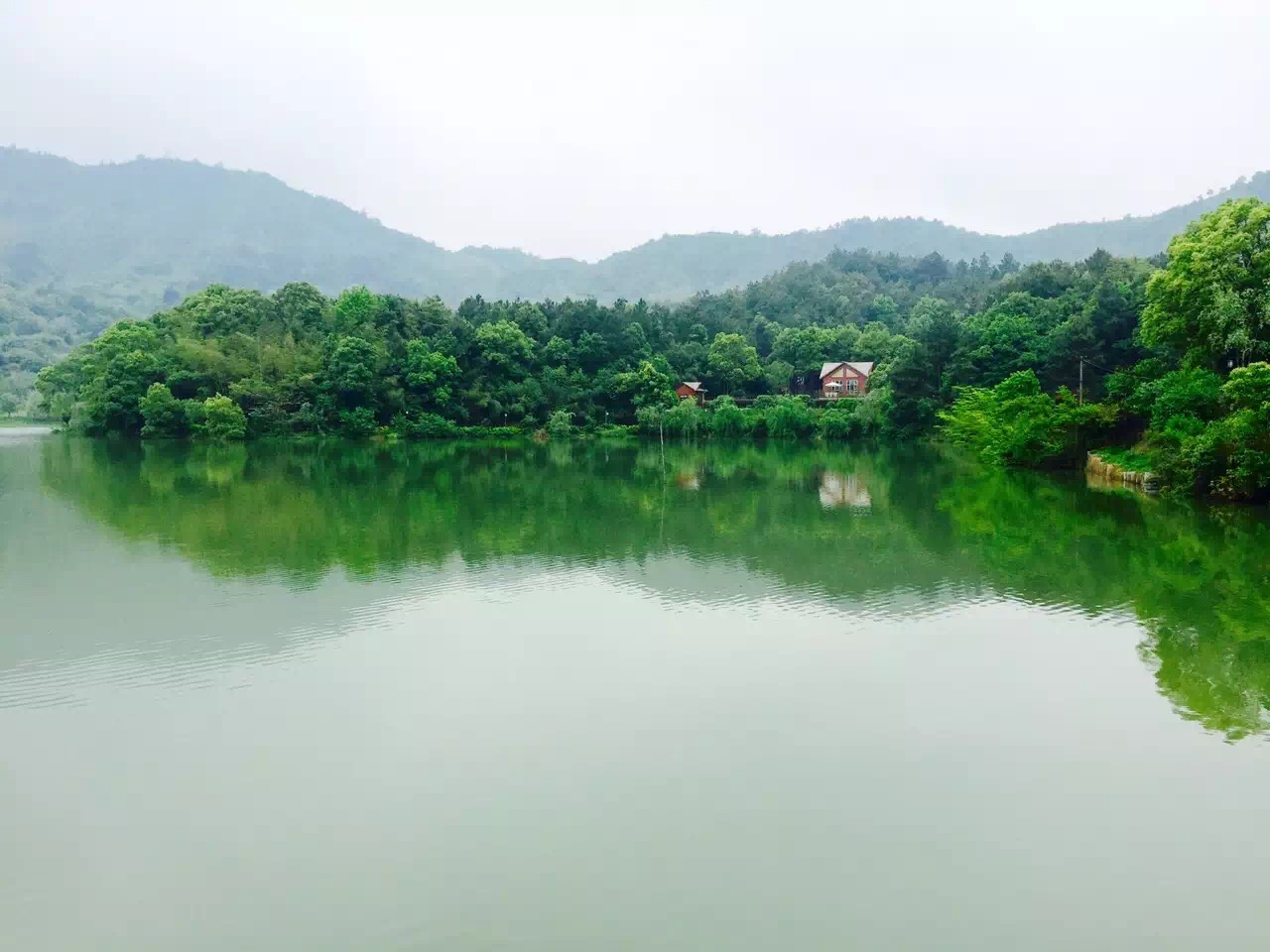 新雨过后,萍水相逢