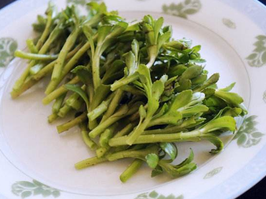 救心菜还可以炒着吃,在炒制以前需要把五百克新鲜救心菜洗干净,在锅中