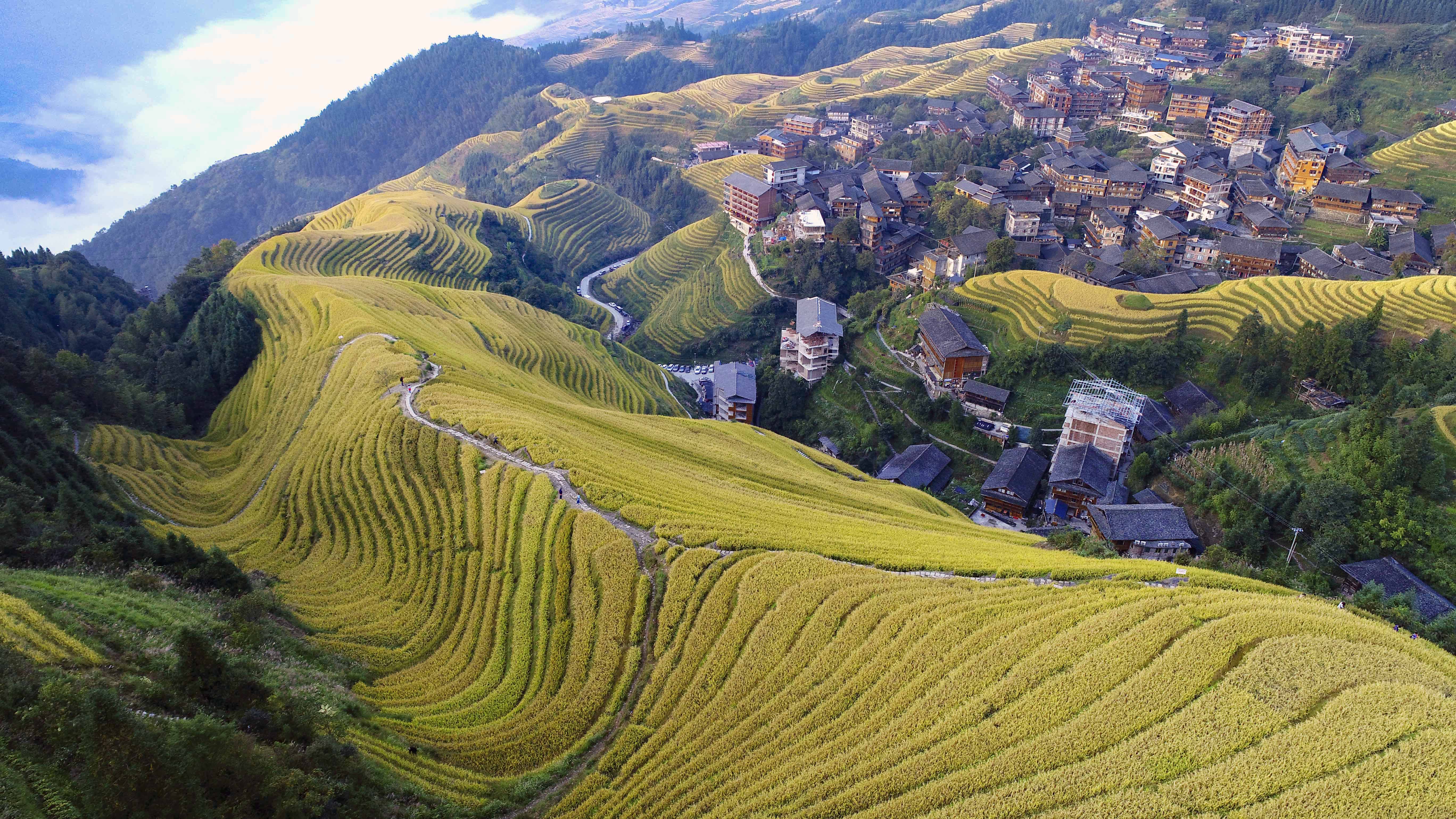 广西龙胜:金秋龙脊美如画