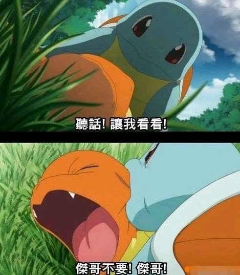 口袋妖怪:杰尼龟与小火龙还发生过这样的事?是我太年轻!