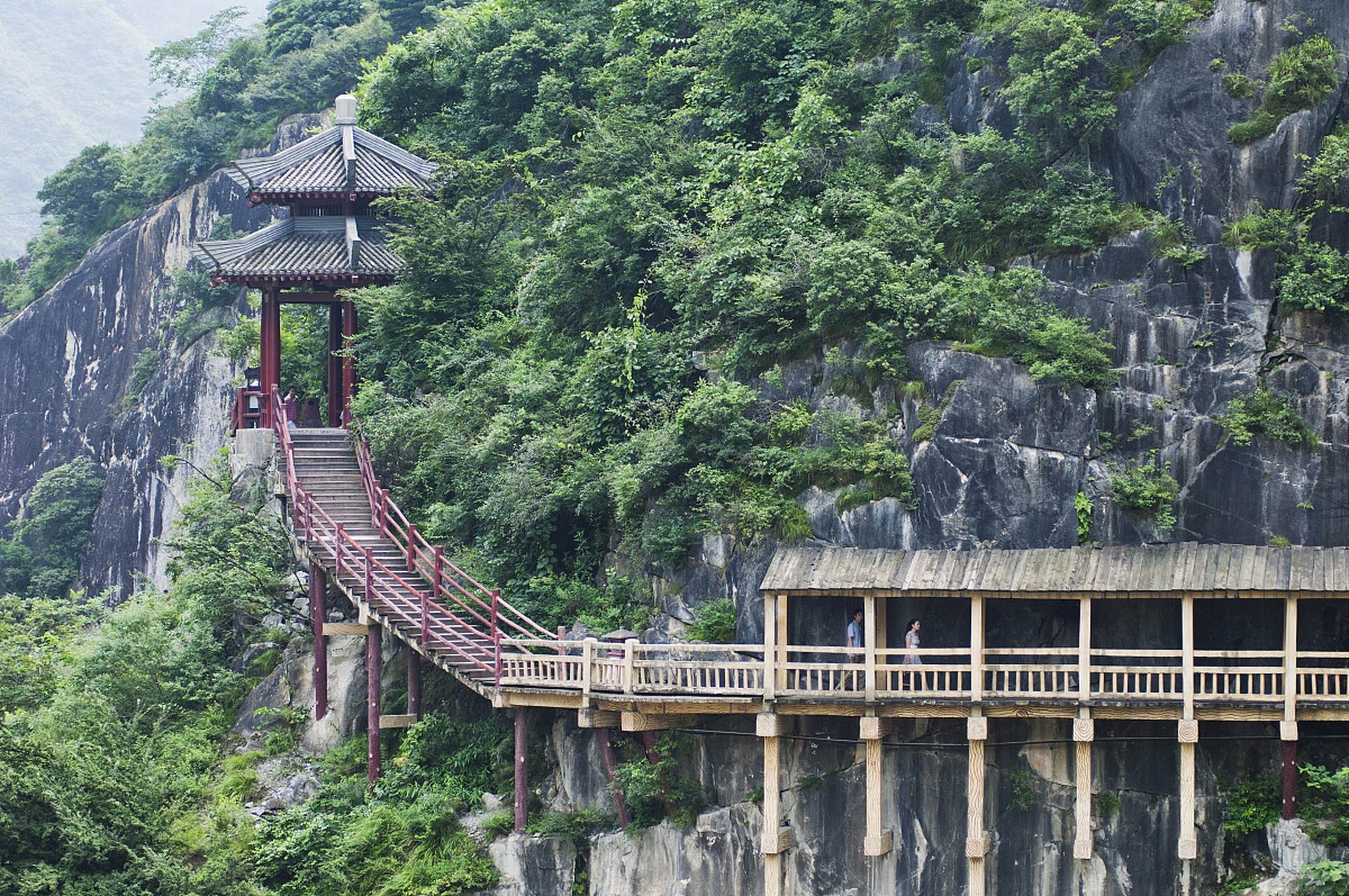 百山祖景区旅游攻略  百山祖,这个位于浙江省丽水市庆元县境内的国家