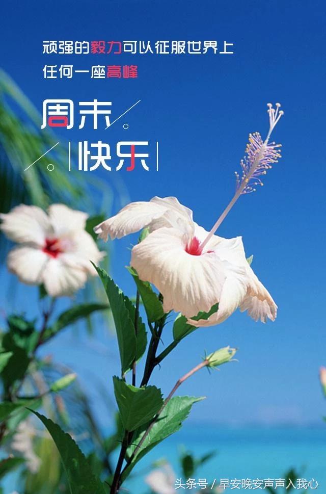 周末早安问候语励志正能量配图
