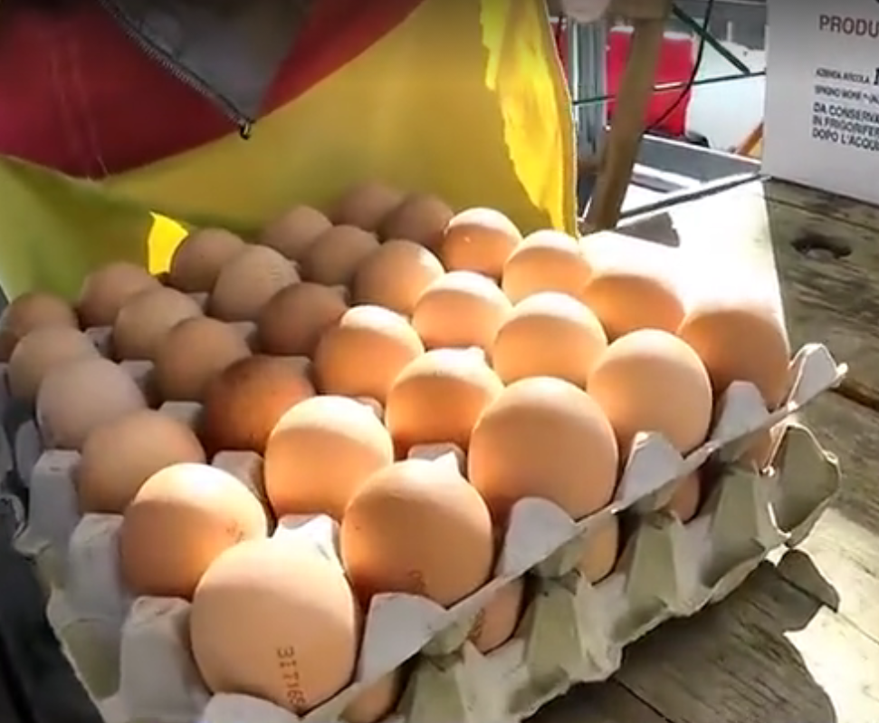 实拍世界上最大的煎蛋,需要5000多个鸡蛋,吃起来超过瘾!