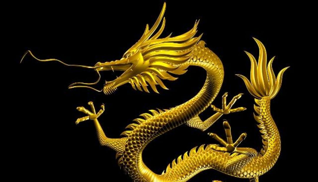鲤鱼跳龙门!大部制,居然是小企业的龙门
