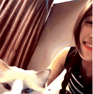 搞笑gif图:真是实力坑朋友啊,这绝对是想要被挨打的