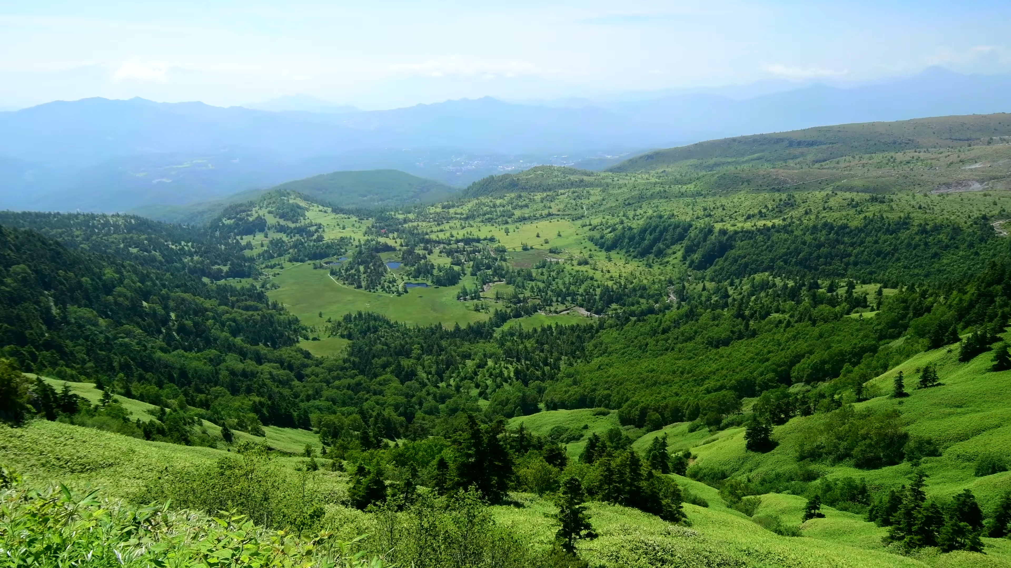 夏季风景 