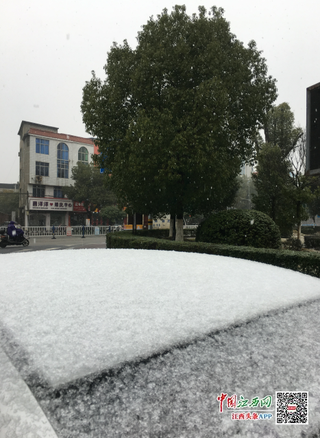 雨夹雪实图图片