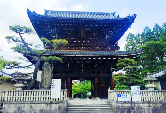 在日本旅游时,这些"小众"景点,你去过吗?清凉寺