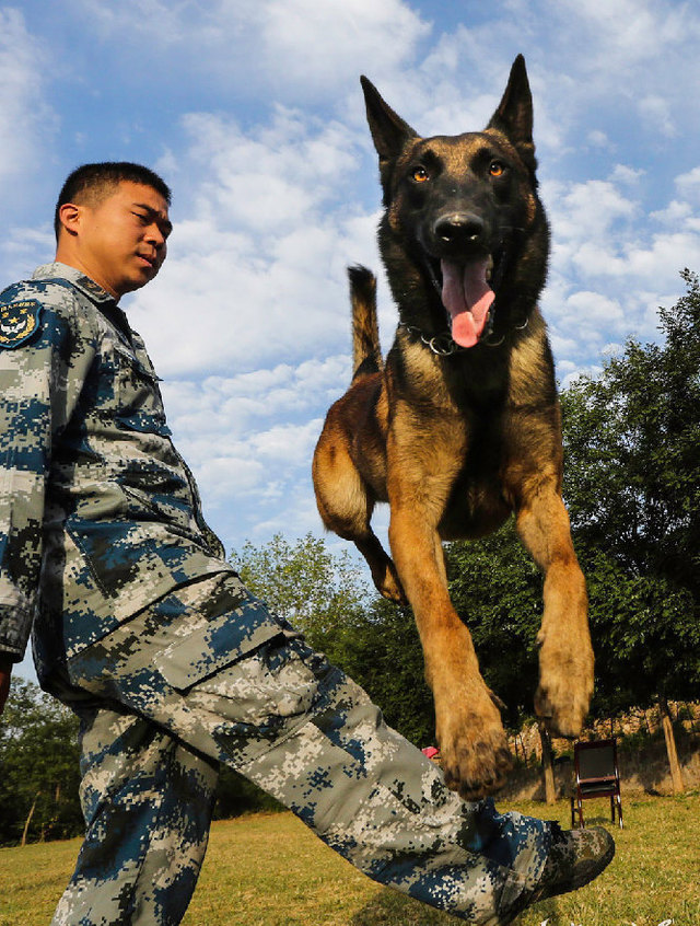 嗨 哥们儿! 谢谢你!