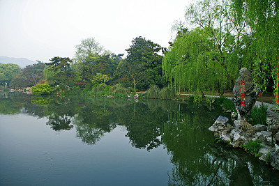 西湖十景,花港观鱼,景色秀美,十分迷人