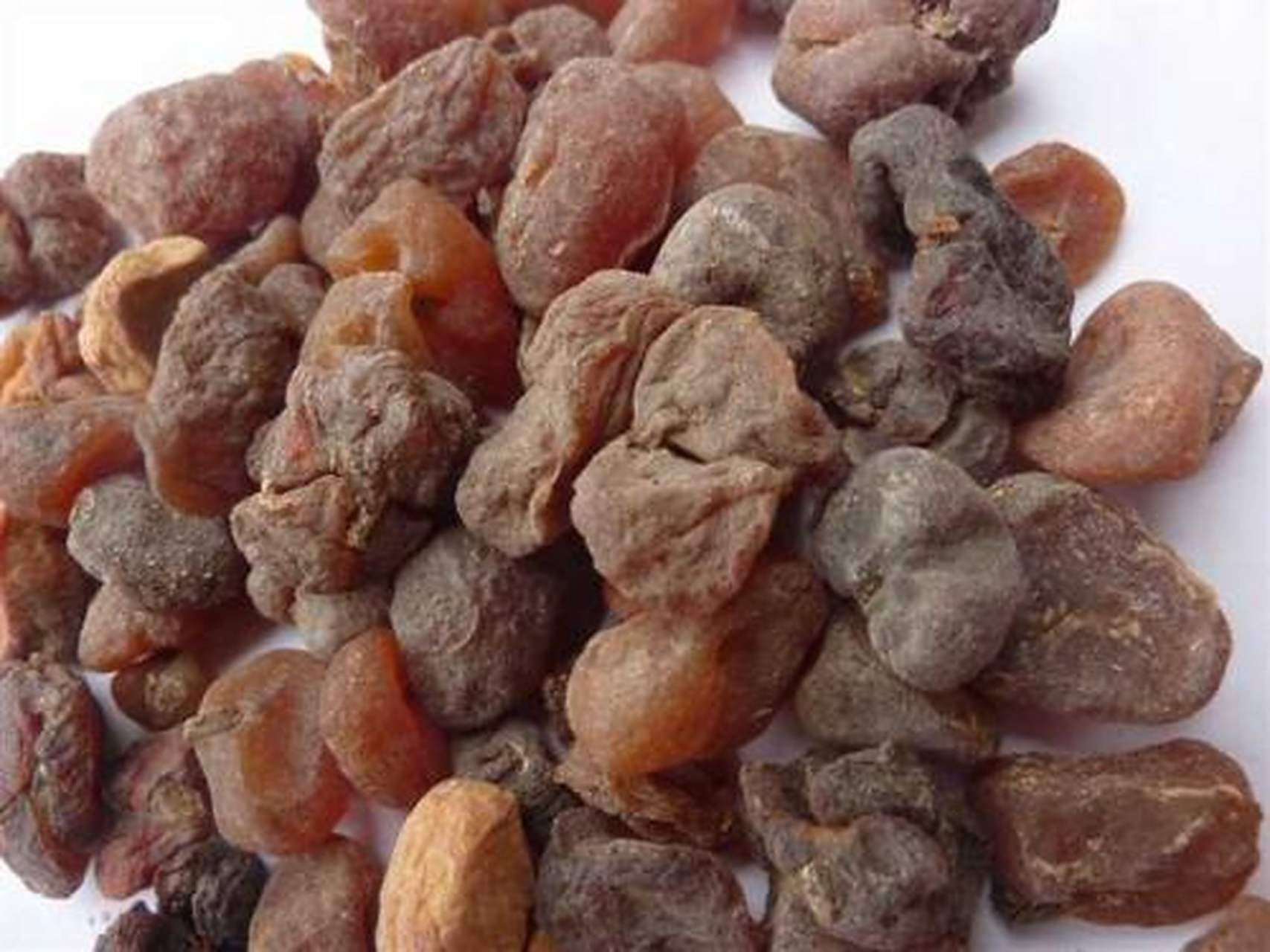 科普知识竞赛#土贝母,中药名.