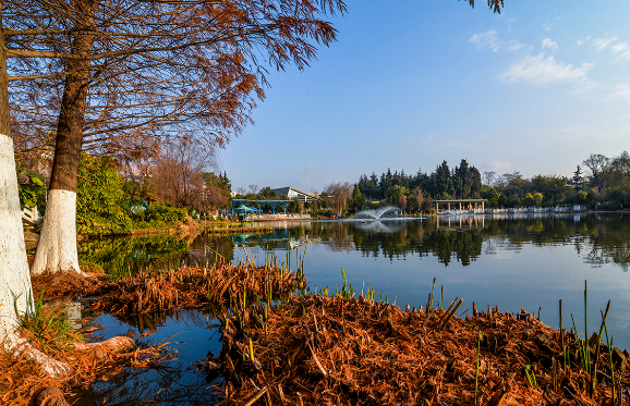 走进官渡森林公园,领略大自然的美景