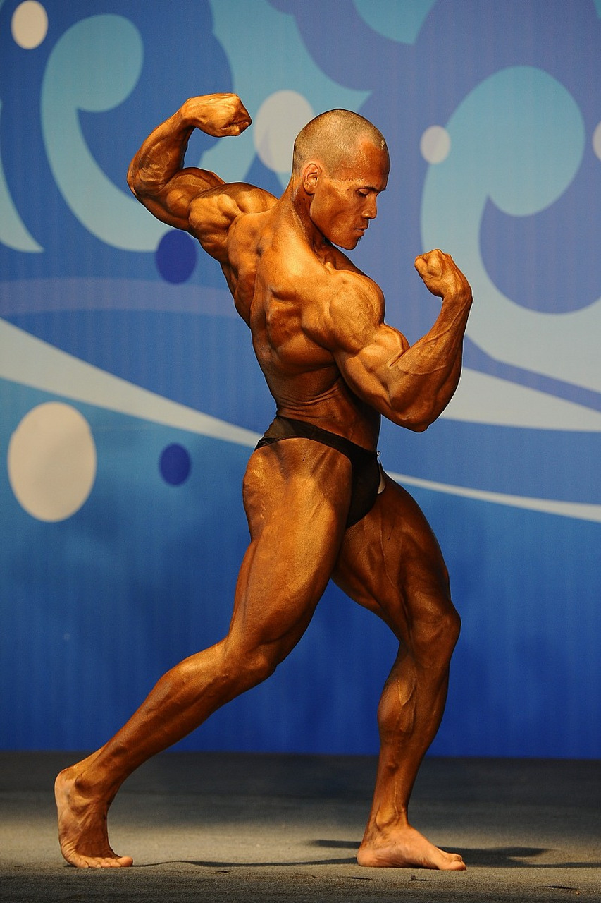 古典健美和传统健美在比赛规则,训练方法和审美标准等方面存在区别.