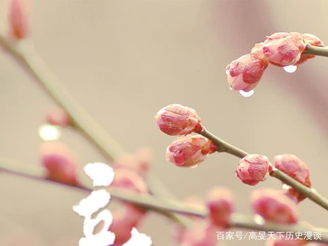 中國人民解放軍第一六九中心醫院跑腿代掛掛號聯系方式的簡單介紹