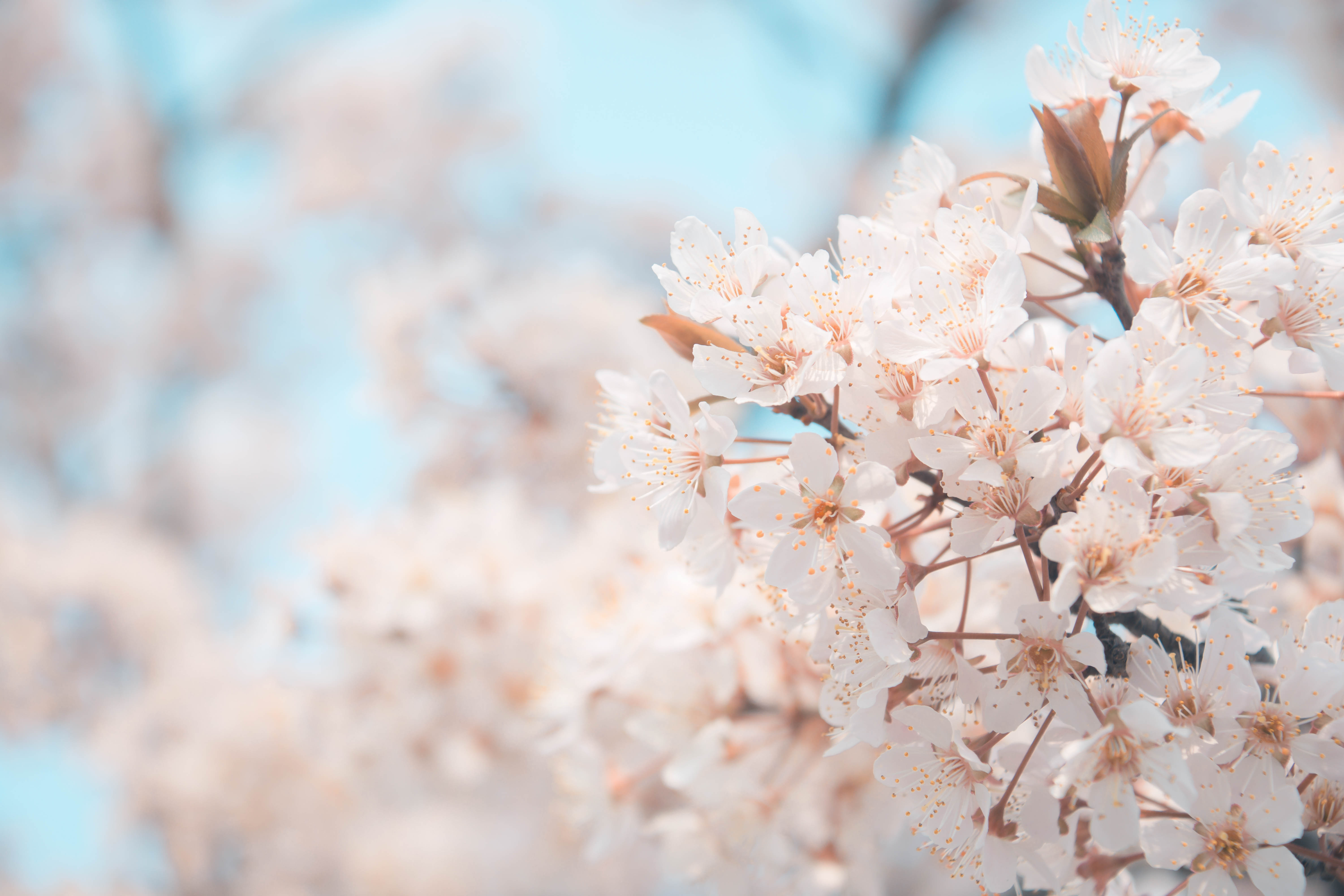 若无闲事在心头,人生都是好季节