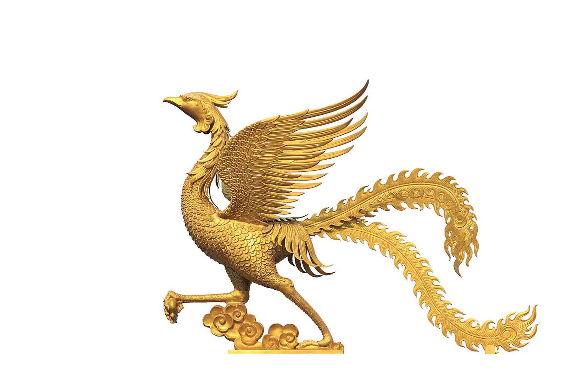 据传,金乌的叫声犹如"金乌",因此得名.