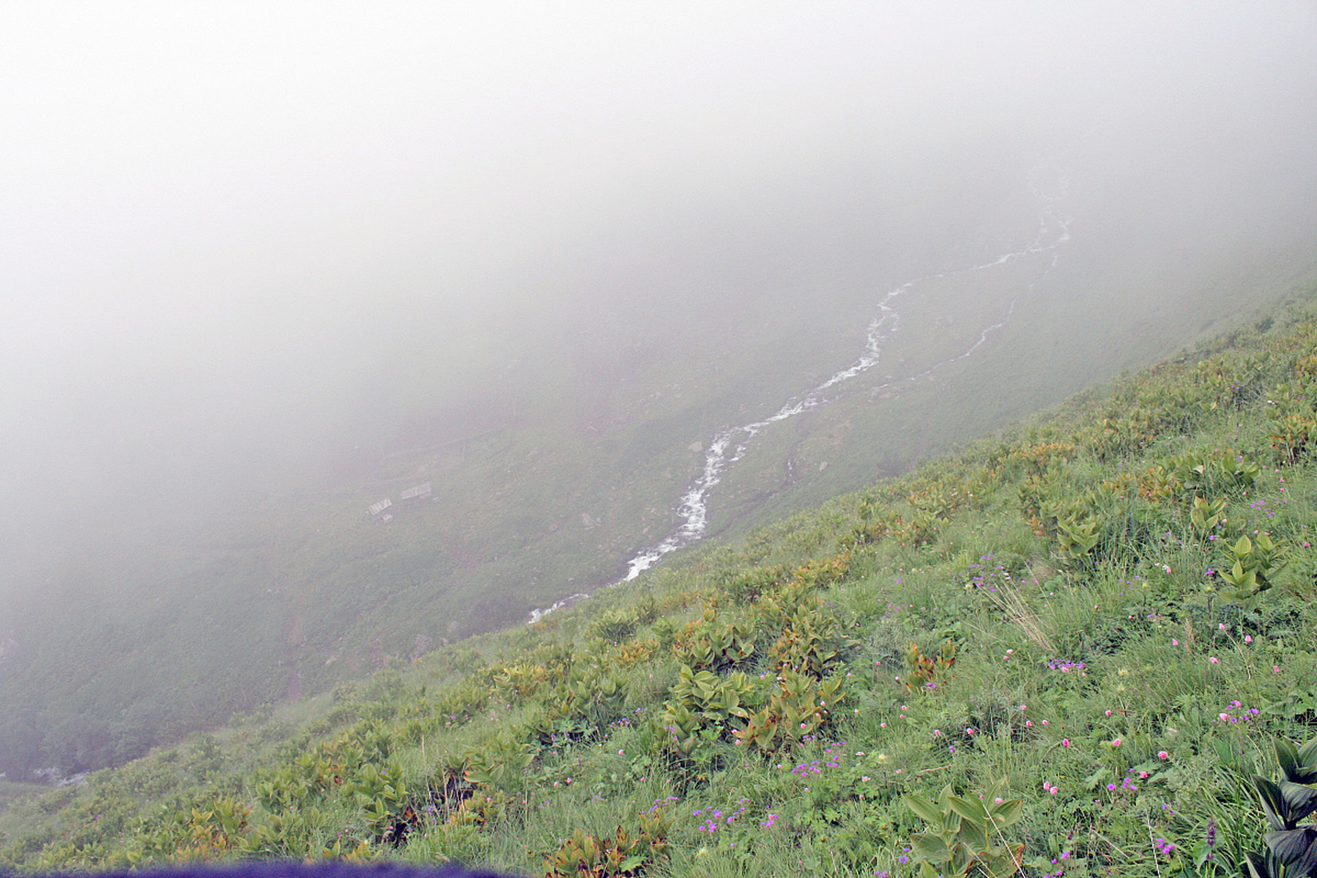 城市大玩家# 北京 白草畔是百花山的主峰,海拔高度2161米,是北京等