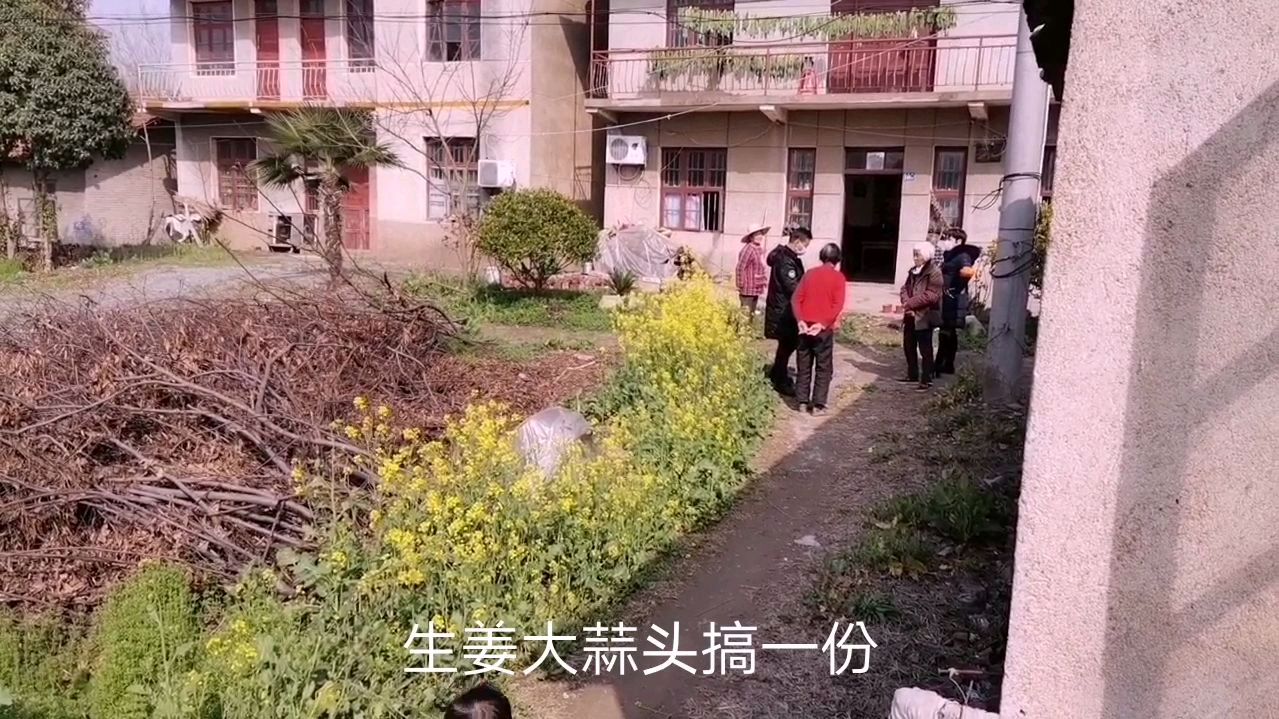 一场疫情让农民苦不堪言,封城菜运不出,春季又无种子可播……