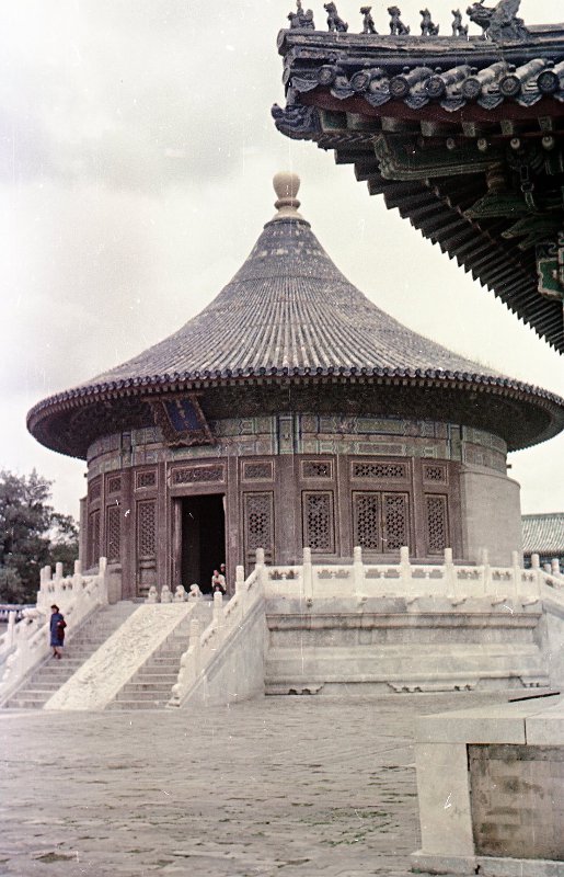 老照片:1950年的北京天坛