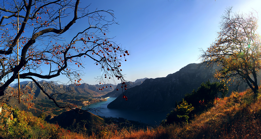 原康镇龙口村,秋叶斑斓,岗峦起伏,构成了一幅绝妙的山水画卷