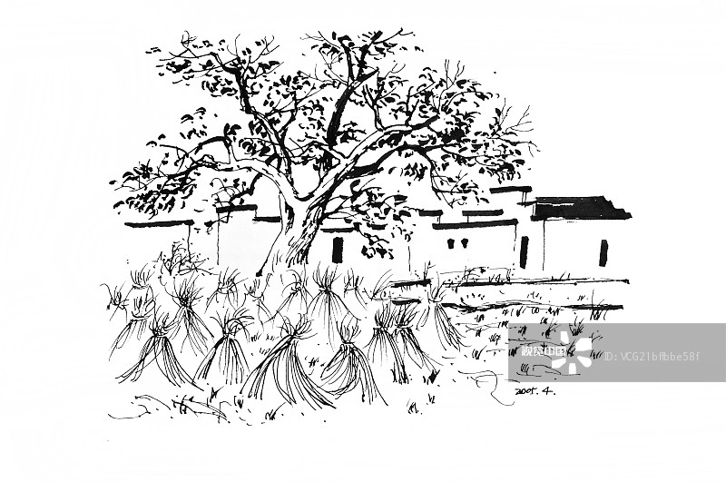 桑生李树 未知:佚名