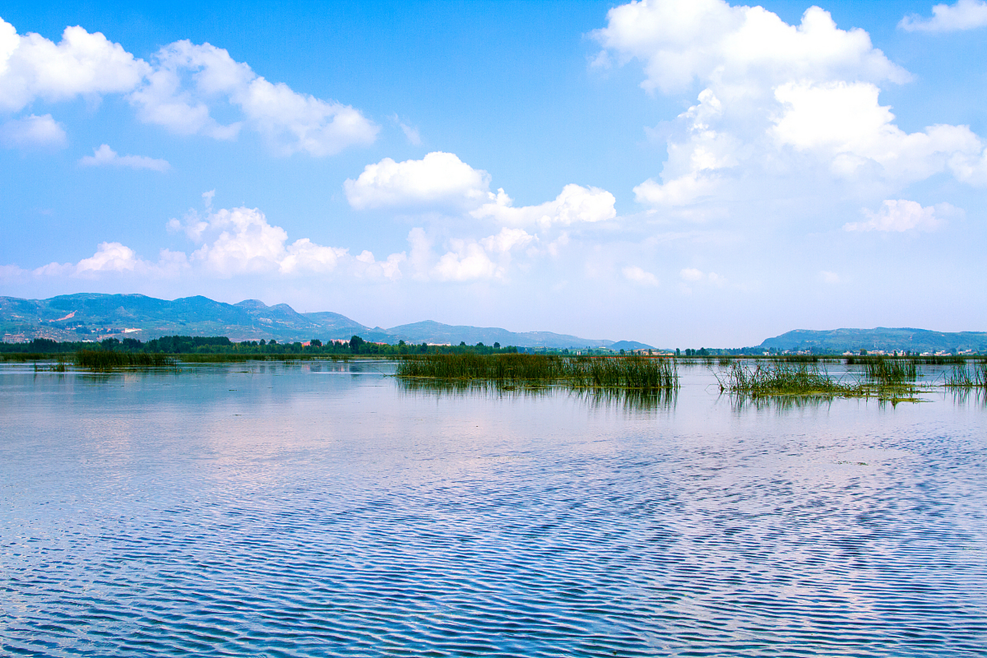 不是每个人都适合在男女关系中徜徉的,男女关系就是"水至清则无鱼",太