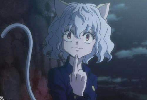 全职猎人:战斗获胜率普夫竟然比猫女更大胜算