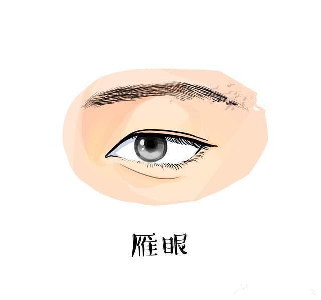 一生富贵且长寿的4种眼,天生贵气,声名远扬,想不富都难!