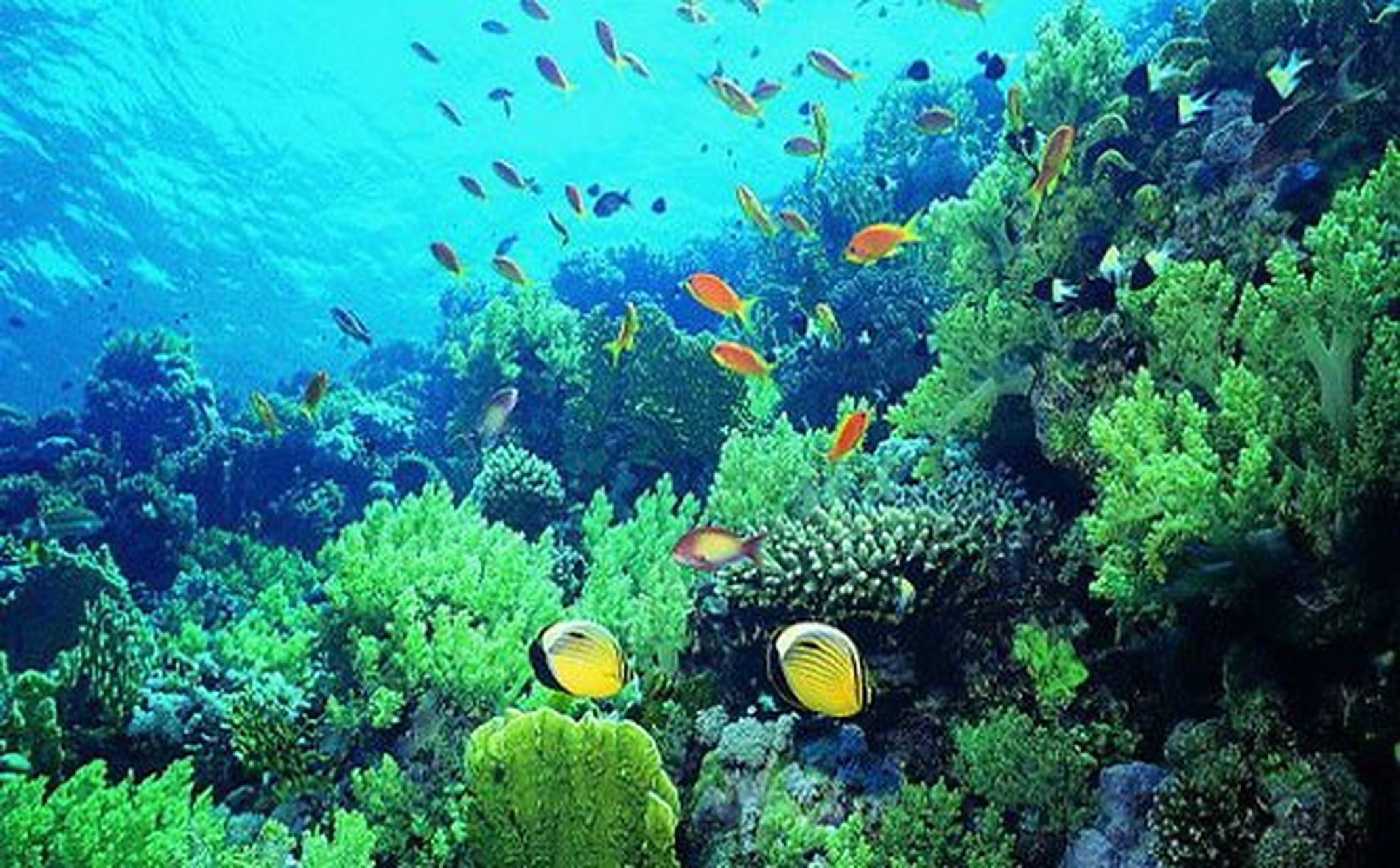 遇见美好##遇见好风景#亚龙湾海底世界:亚龙湾海底世界位于中国海南