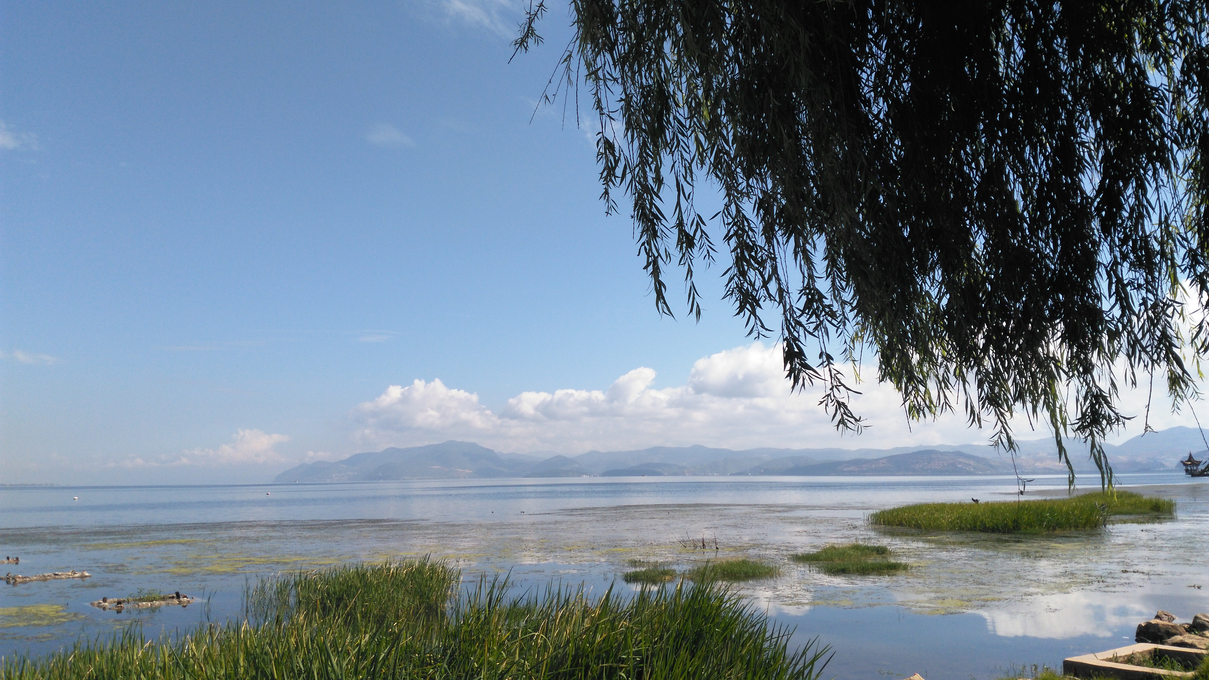 大理洱海边实拍,好蓝的天,好白的云
