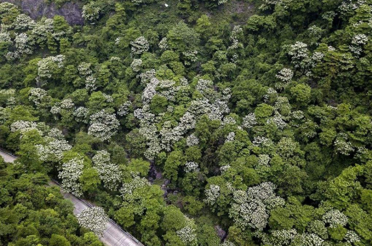 育苗- 优质问答专区