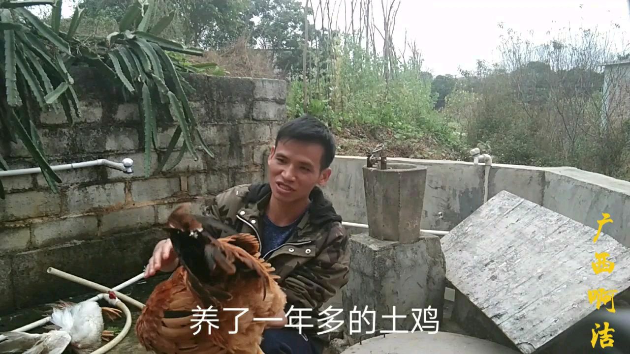这特殊时期,二斤青菜可以购买一个大白鸭