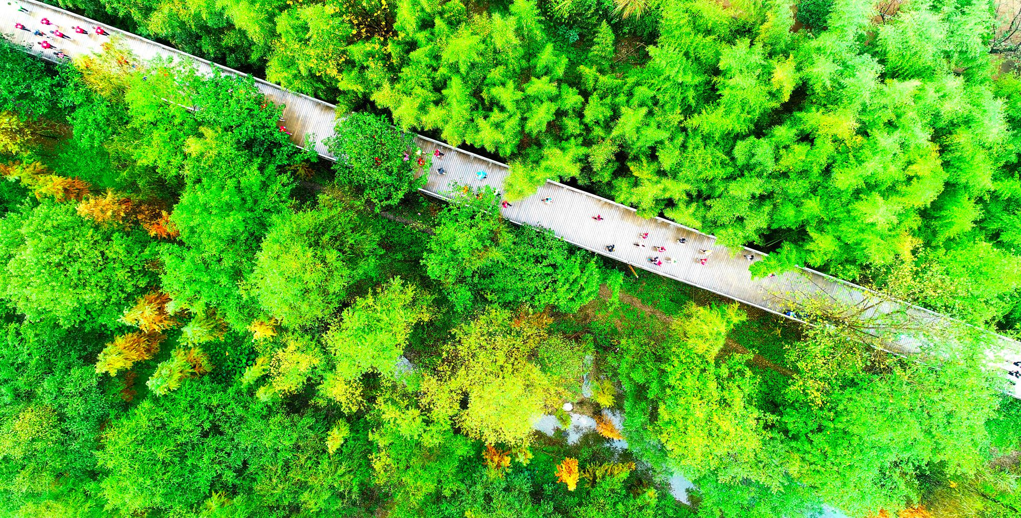 浙江仙居:最美绿道马拉松 雨中万人来穿越