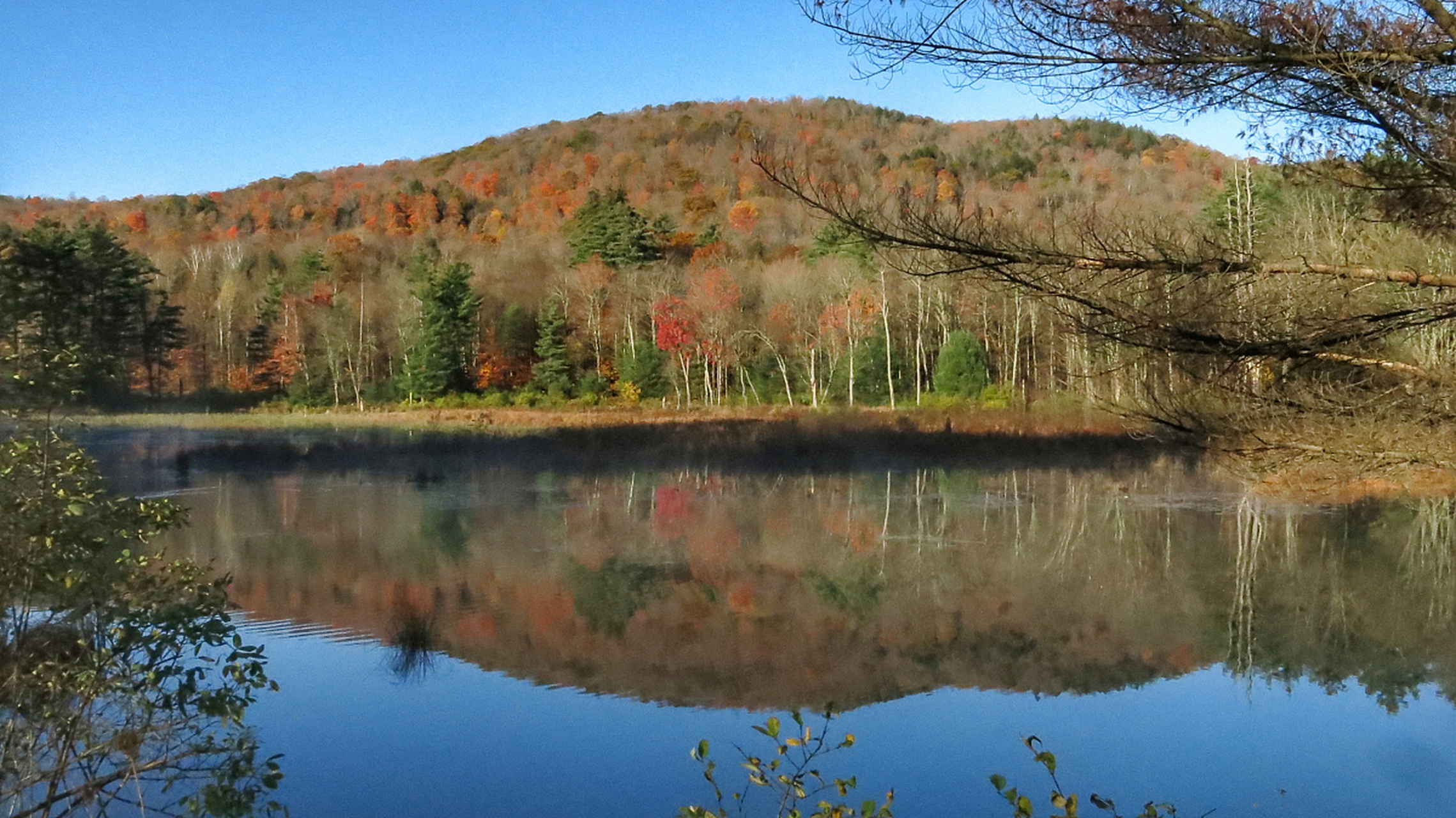 大亮子河国家森林公园,隐藏在黑龙江省的佳木斯市,拥有神奇的原始红松