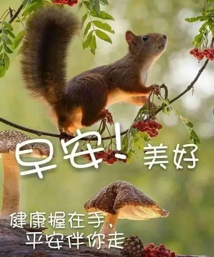 2020.阳春4月份最新最美早上好最好看早安祝福美图送给大家
