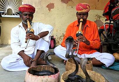 印度人中的耍蛇人,从小就练习,游客看到却感觉不忍