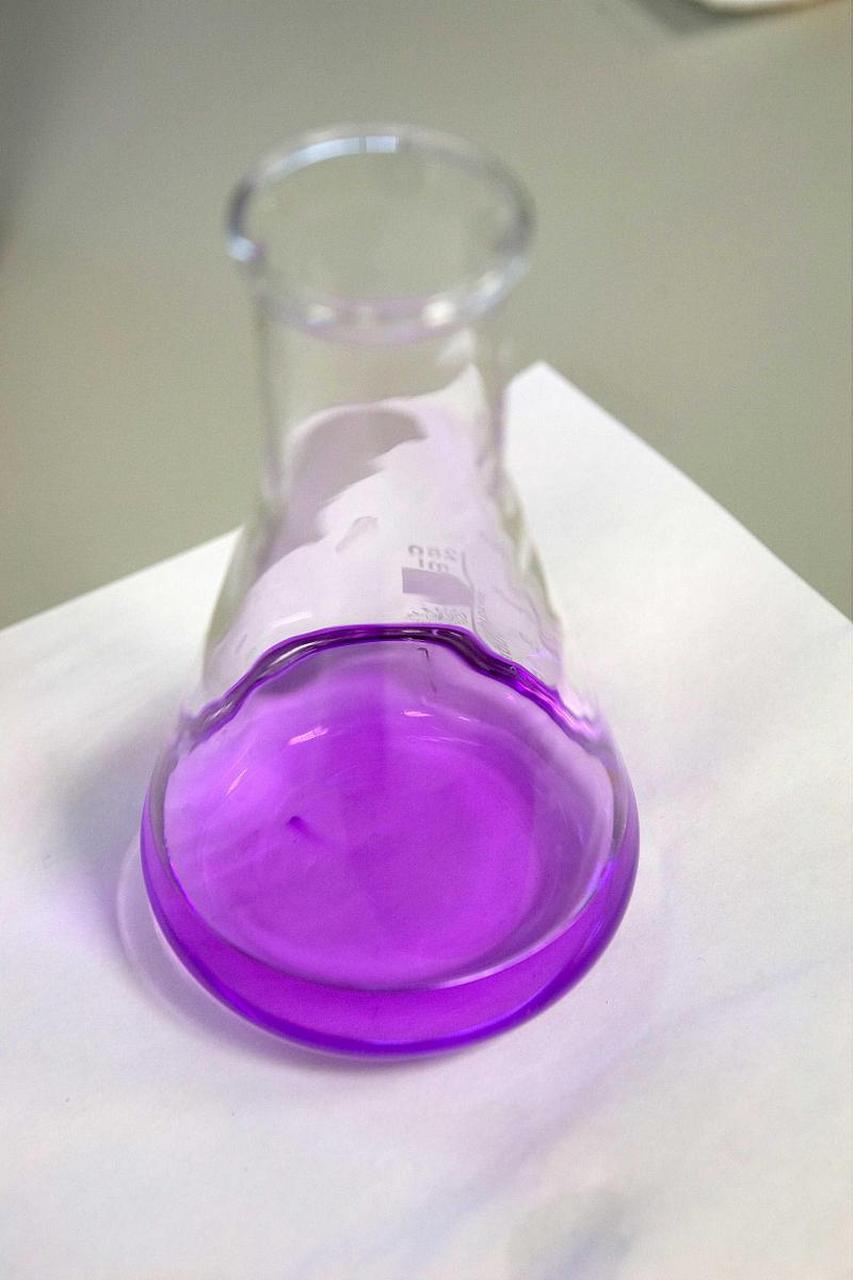 石蕊是一种酸碱指示剂,能根据酸碱反应呈现不同颜色,常用于检测溶液的