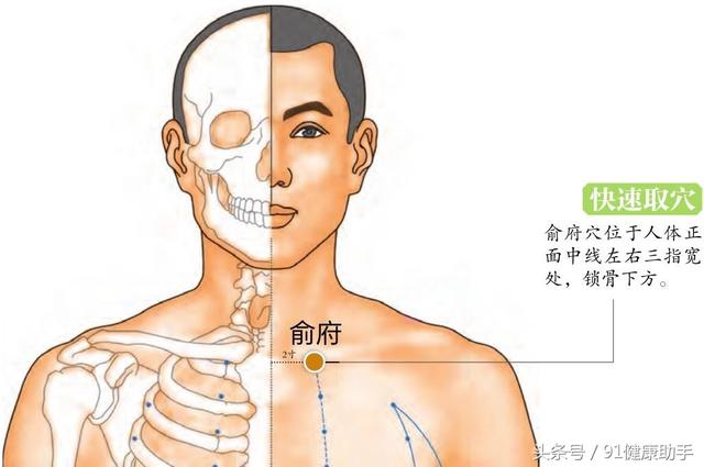 穴位养生|久喘,打嗝,支气管炎按俞府穴,止咳平喘,和胃降逆