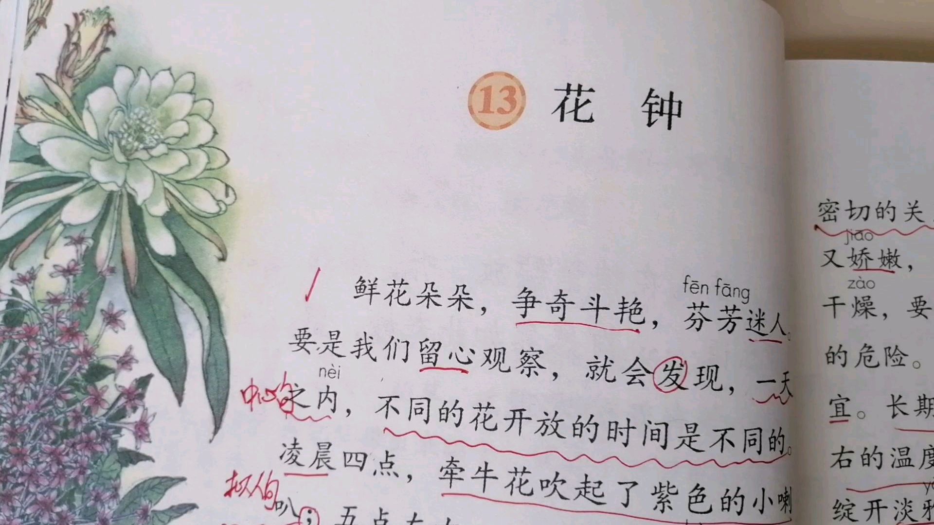 [图]人教版三年级语文下册《花钟》，留心观察，揭开奥秘