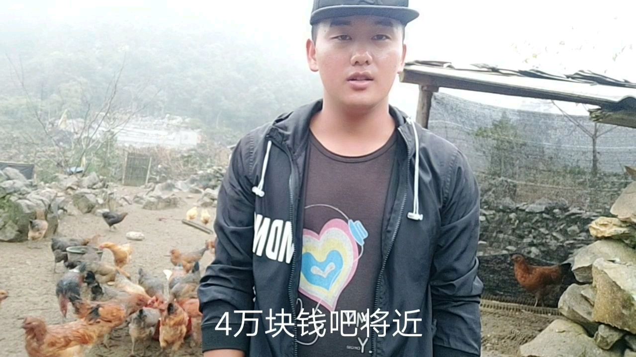 当地大老板来农村小伙家订购土鸡苗,要订购5000只,要不要给他孵