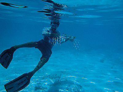 马尔代夫,潜入冰蓝水世界